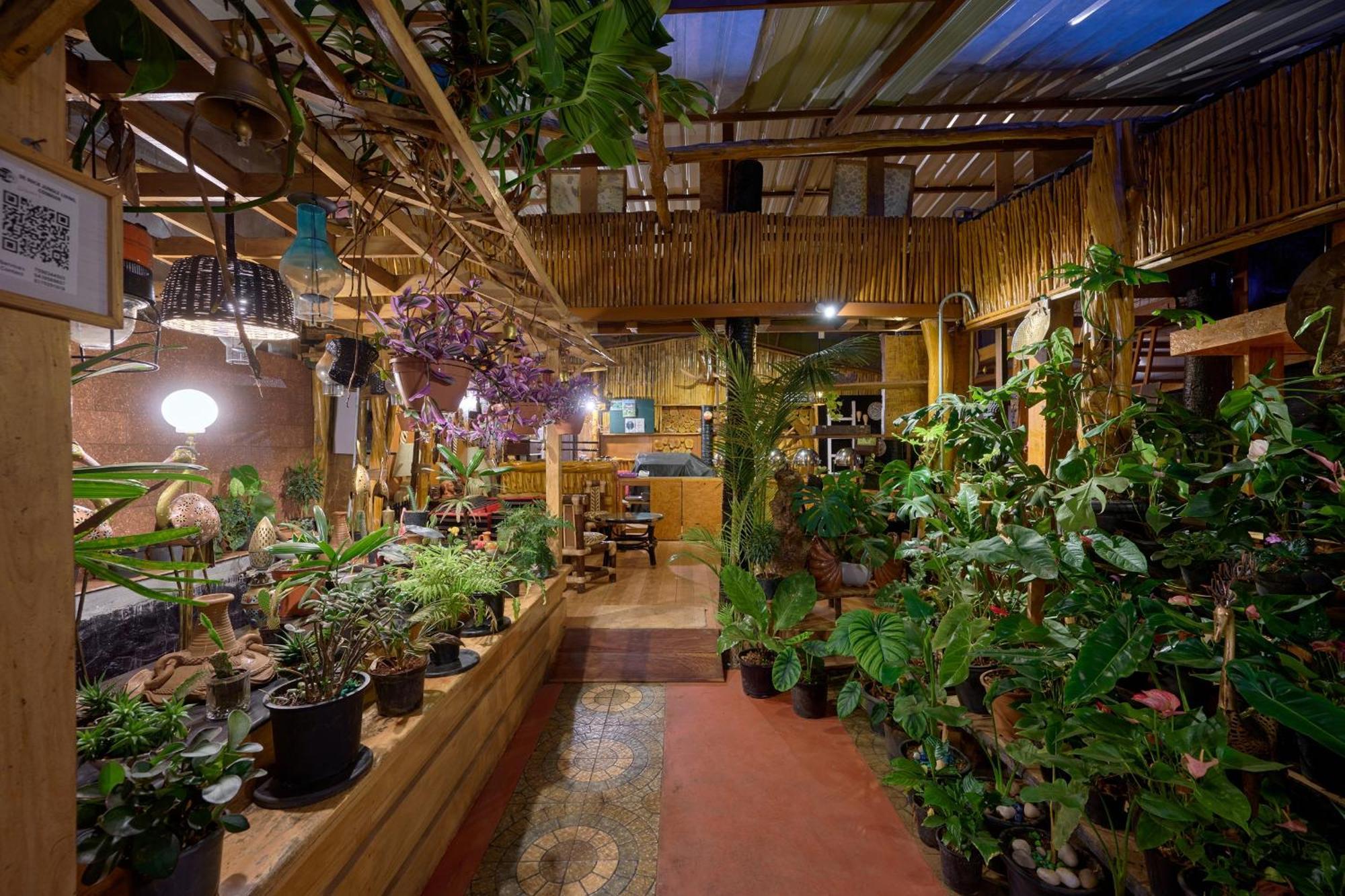 De Rock Jungle Living Resort クーヌール エクステリア 写真